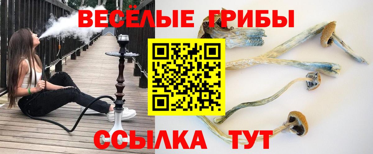 Санкт-Петербург  Псилоцибиновые грибы мицелий  Вход с VPN 